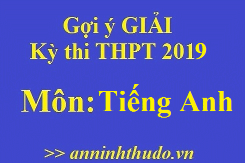 Đáp án tham khảo, nhận định đề thi môn Tiếng Anh - Kỳ thi THPT Quốc gia 2019