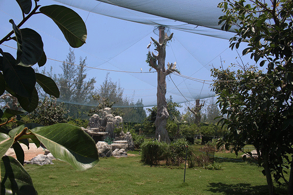 Lịch trình khám phá các điểm "hot" nhất Quy Nhơn dịp 30/4 – 1/5 ảnh 5