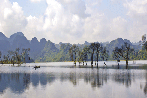 Lối mòn sáng tạo trong nhiếp ảnh đương đại