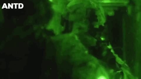 Bất ngờ với đặc nhiệm Nga làm khủng bố IS chỉ muốn vứt súng bỏ chạy