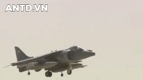 [Infographic] Tìm hiểu về chiến đấu cơ nổi tiếng của Thủy quân lục chiến Mỹ vừa lâm nạn