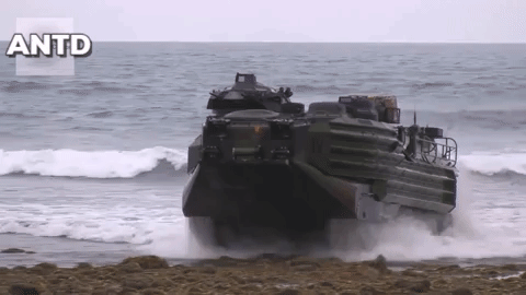 AAV7 A1 đổ bộ lên bờ biển AAV7 A1 đổ bộ lên bờ biển