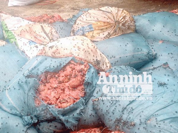 Kinh hoàng ruồi nhặng "vỡ tổ" bu đầy xưởng sản xuất mỡ bẩn