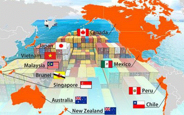 Ra mắt chuyên trang thông tin điện tử về Hiệp định đối tác toàn diện và tiến bộ xuyên Thái Bình Dương ảnh 1