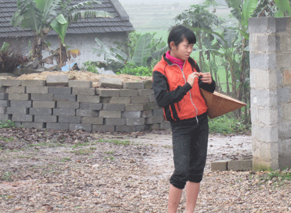 Trâu vượt quốc lộ: Nguy cơ tai nạn giao thông rình rập! ảnh 9 Trâu vượt quốc lộ: Nguy cơ tai nạn giao thông rình rập! ảnh 9