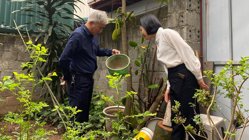 Hà Nội: Phát hiện chỉ số côn trùng ở ngưỡng nguy cơ cao tại các ổ dịch sốt xuất huyết