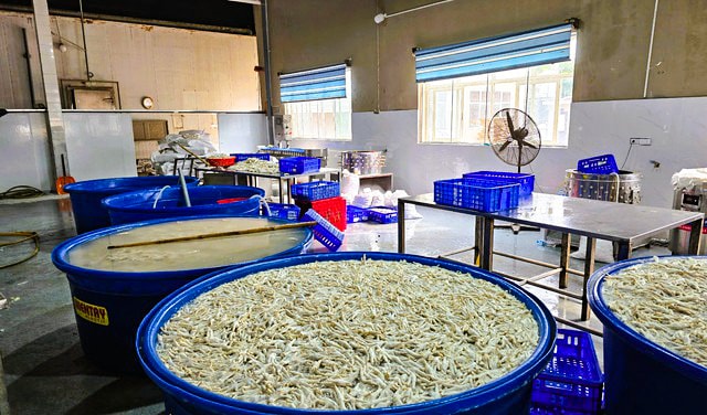 Phát hiện hơn 13 tấn chân gà ngâm chất cấm