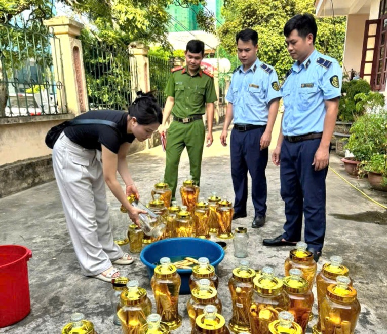 Thanh Hóa: Bán rượu sâm không rõ nguồn gốc, hộ kinh doanh ở Sầm Sơn bị xử phạt