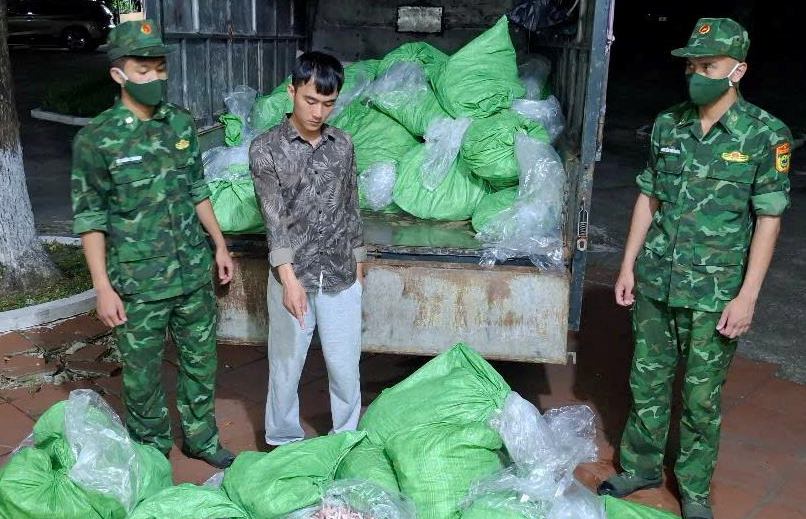 Vận chuyển thuê 560 kg chân gà không rõ nguồn gốc