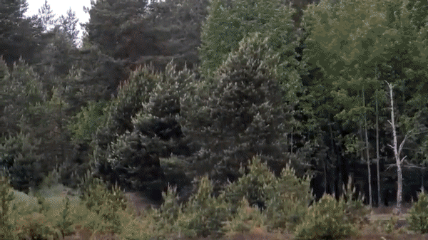 Pháo phản lực HIMARS Pháo phản lực HIMARS