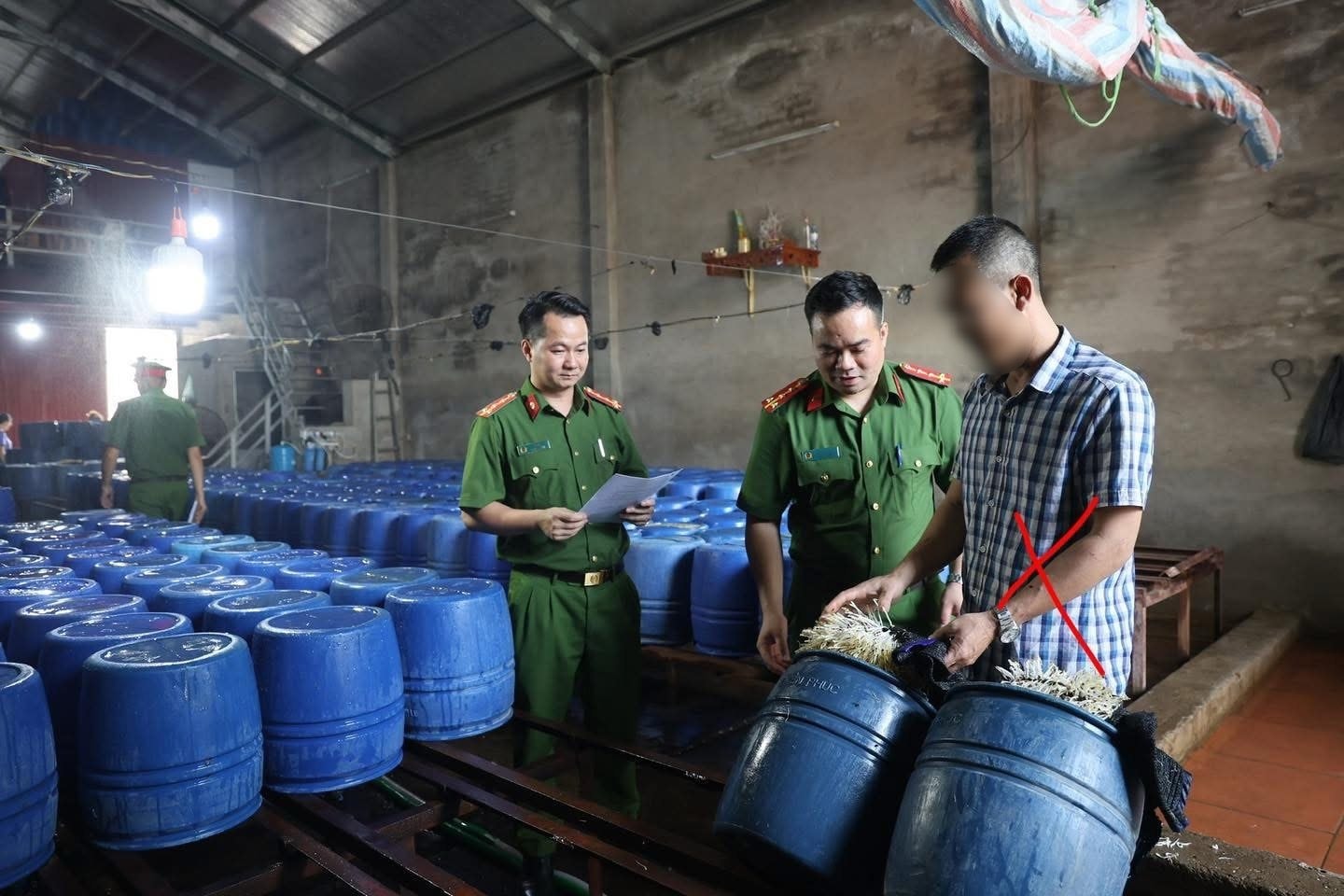 Khởi tố chủ cơ sở bán hơn 60 tấn giá đỗ 'ngậm' chất kích thích ra thị trường