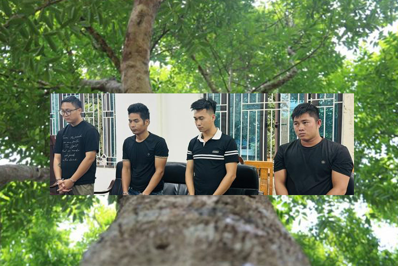 Nhập lậu hàng nghìn cây dó bầu từ Trung Quốc về Việt Nam