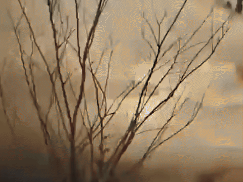 Chuyên gia: 'Kẻ hủy diệt BMPT chỉ thích hợp để quay phim, không phải chiến đấu'