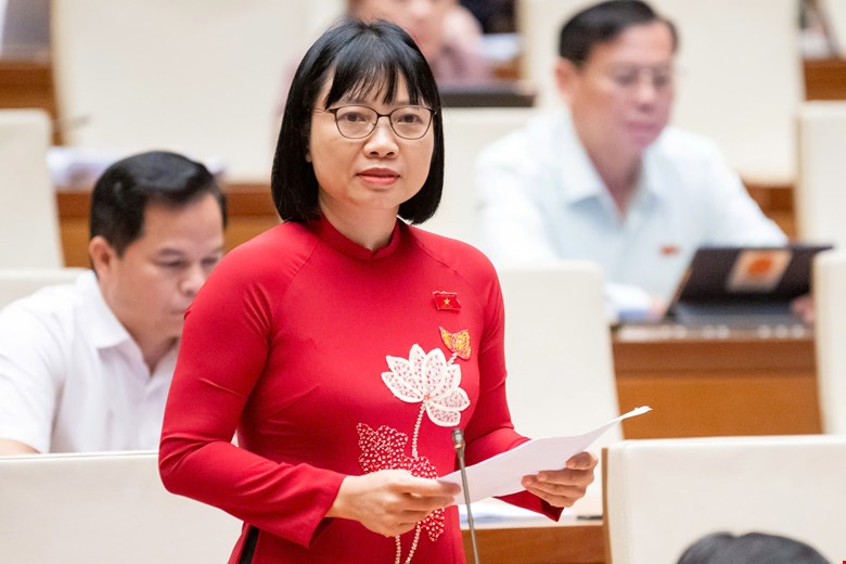 Đại biểu Quốc hội đánh giá về quy định từ 45 tuổi trở lên mới được bổ nhiệm Thẩm phán Toà án nhân dân tối cao
