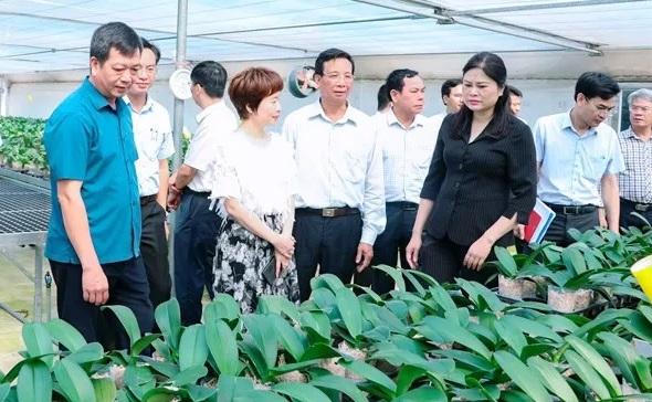 Những mô hình hay góp phần giữ vững an ninh, trật tự trong mọi tình huống