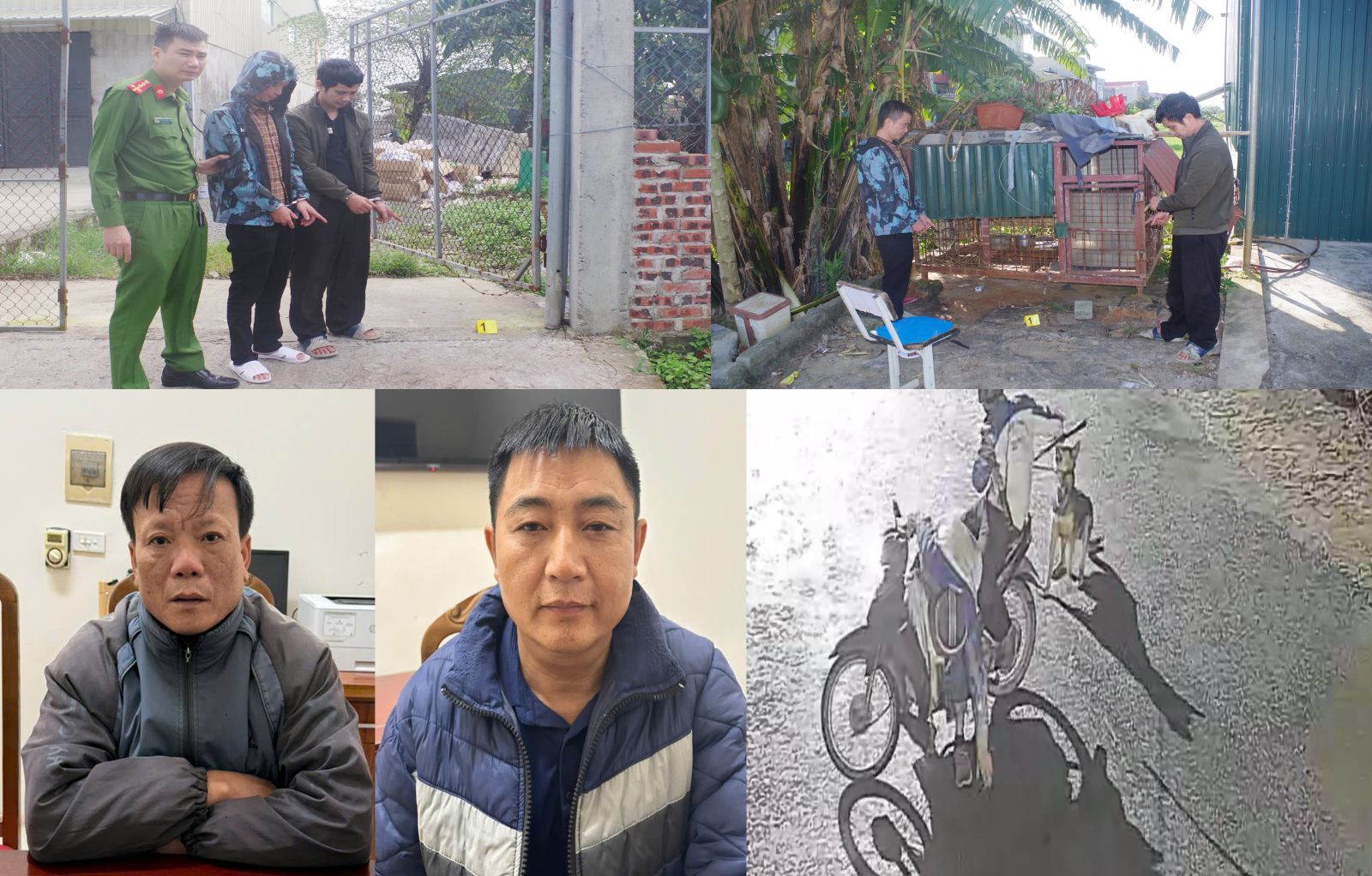 Dùng ớt bột, vỏ chai thủy tinh chống trả khi bị truy đuổi