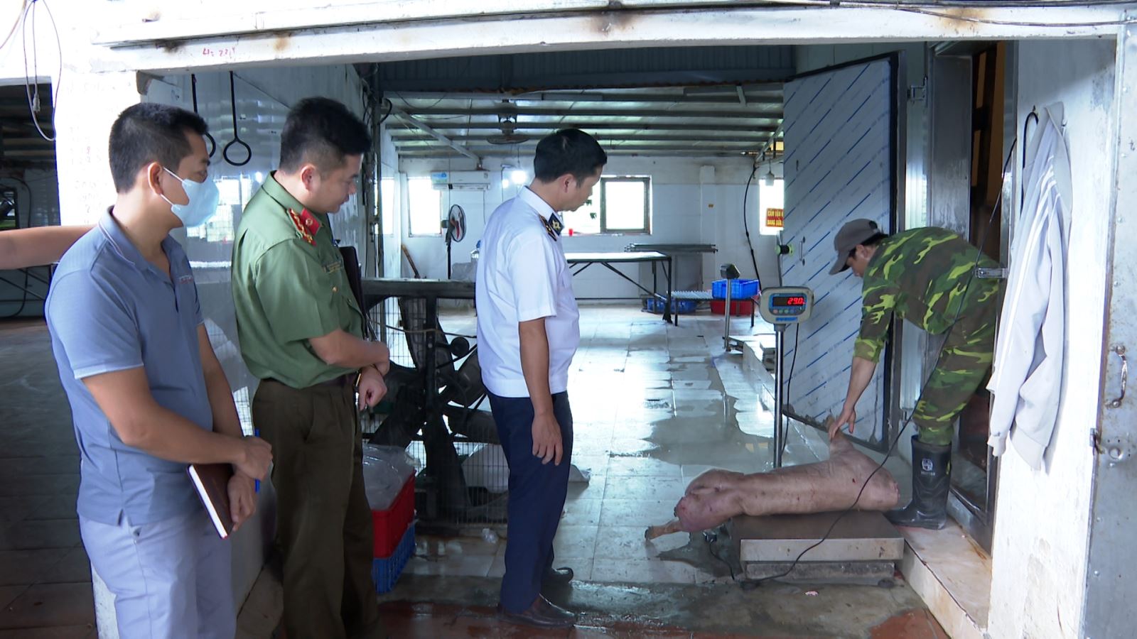 Cặp vợ chồng chủ trang trại lợn bị khởi tố