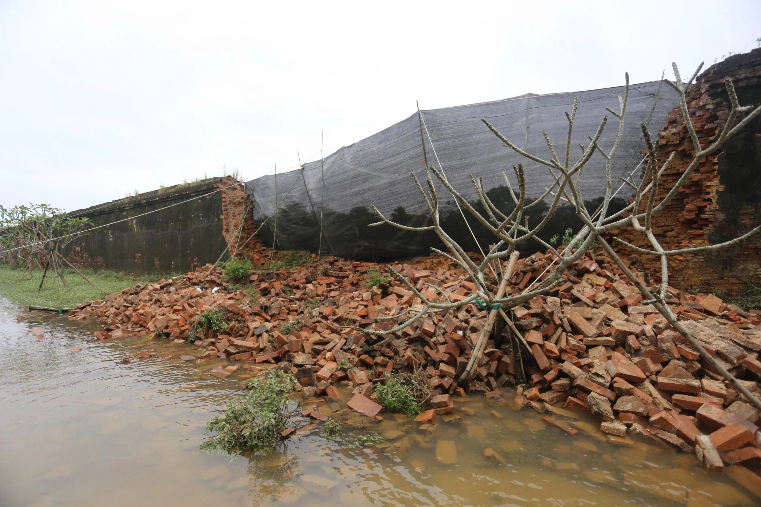 Khẩn trương khắc phục đoạn tường bị sập trong Hoàng thành Huế