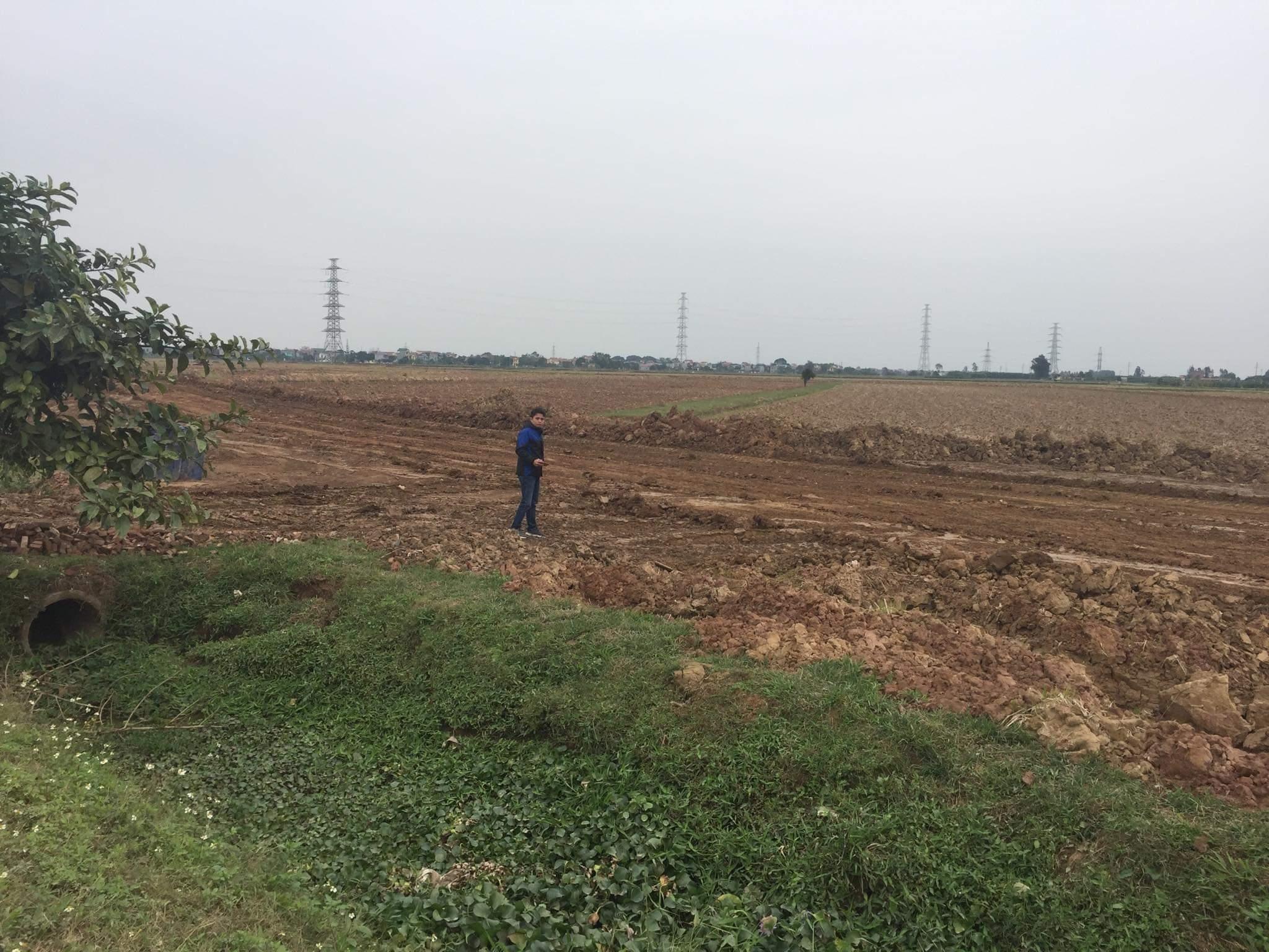 Hà Nội lấy ý kiến về việc cho phép xây dựng công trình trên đất nông nghiệp