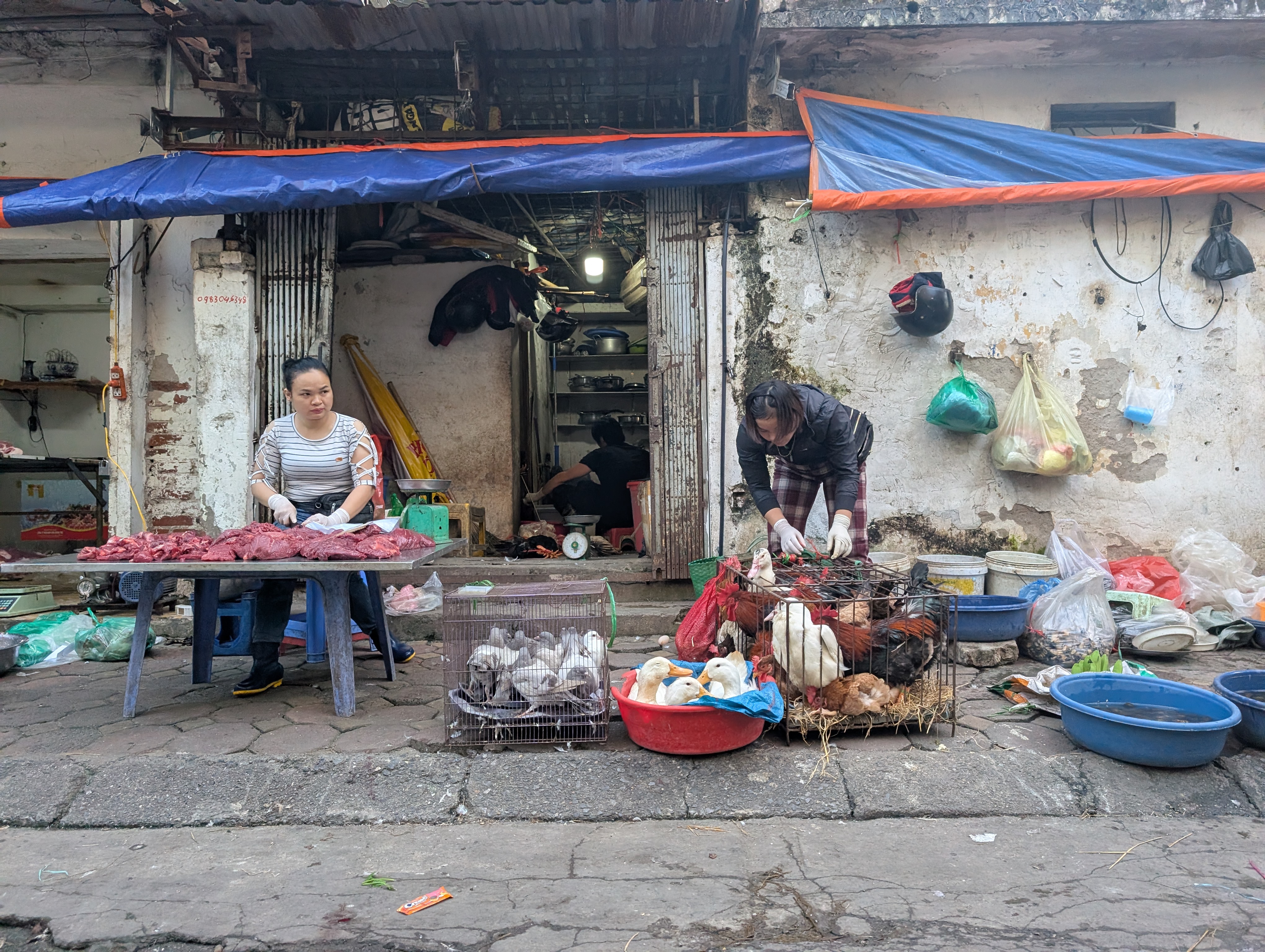 Sớm chấm dứt hoạt động giết mổ gia súc, gia cầm nhỏ lẻ, trái phép