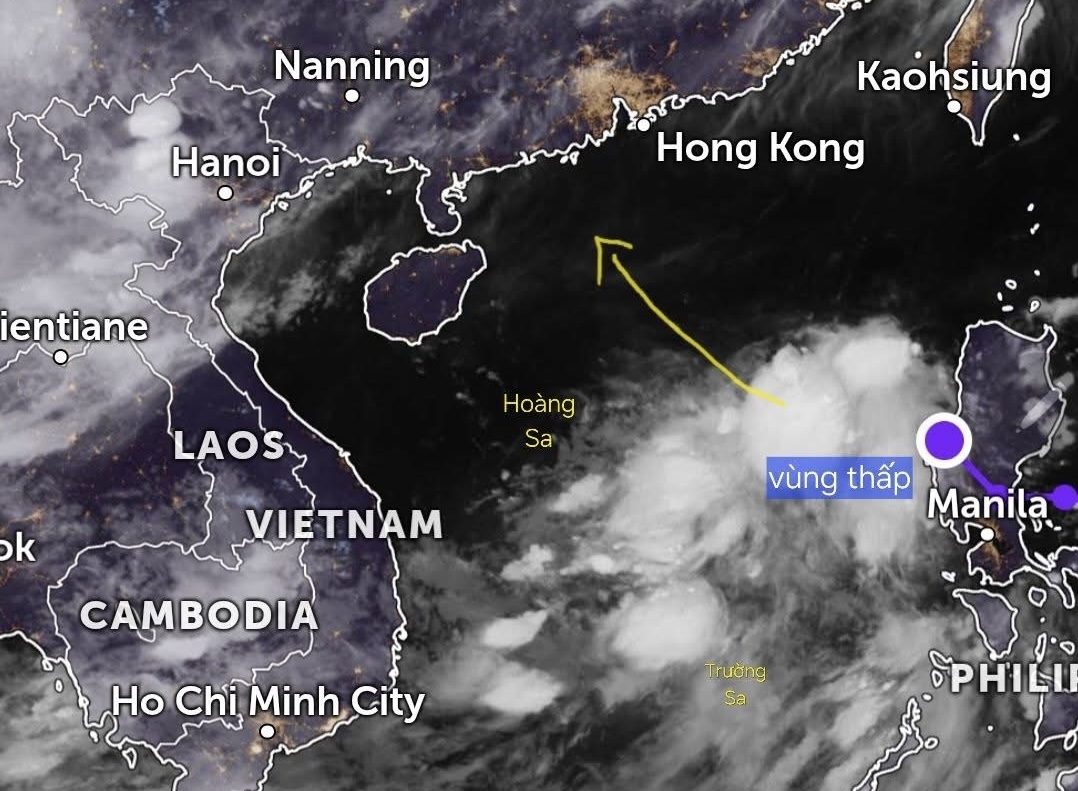 Đề nghị các tỉnh ven biển ứng phó áp thấp nhiệt đới, nguy cơ phát triển thành bão