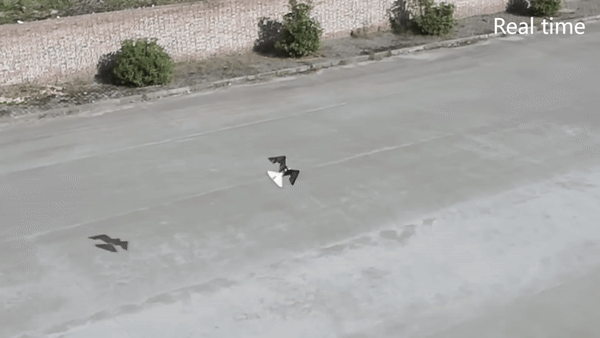 Trung Quốc phát triển thành công máy bay không người lái giống hệt chim thật