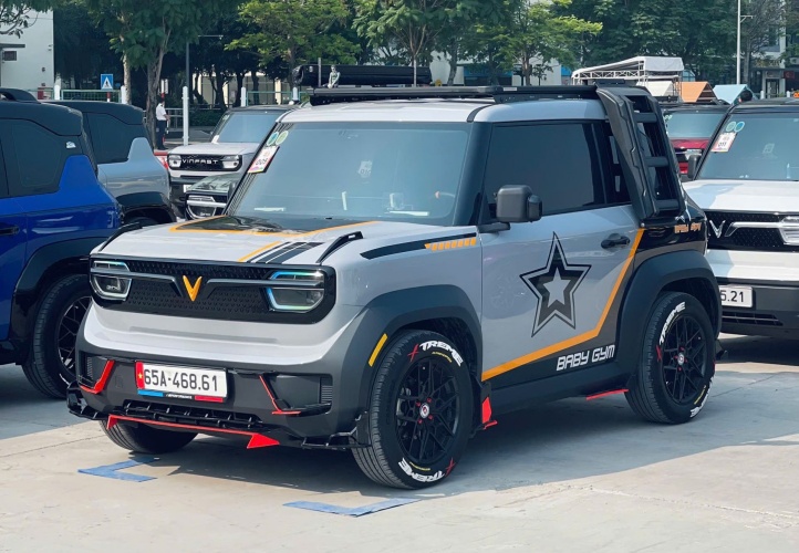 Mua VinFast VF 3, chủ xe Cần Thơ 'bỏ xó' luôn xe xăng hạng B