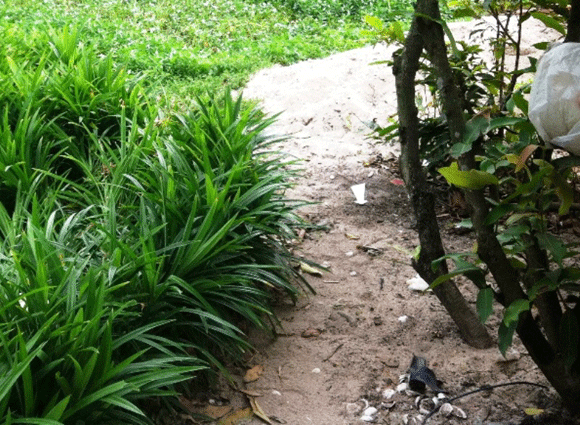 Hiện trường nơi xảy ra vụ nổ súng Hiện trường nơi xảy ra vụ nổ súng