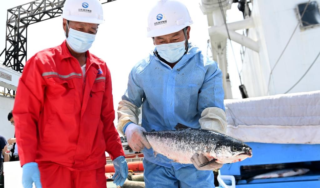 Tokyo hoan nghênh việc Trung Quốc nối lại nhập khẩu hải sản Nhật Bản