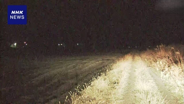 Nhật Bản: Phát hiện một phụ nữ tử vong, nghi là nạn nhân tiếp theo của loài gấu