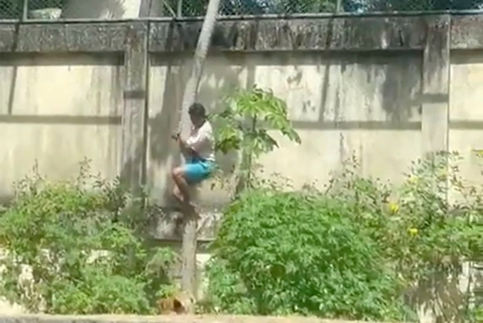 Trèo vào chuồng sư tử, thanh niên 19 tuổi bị giết chết