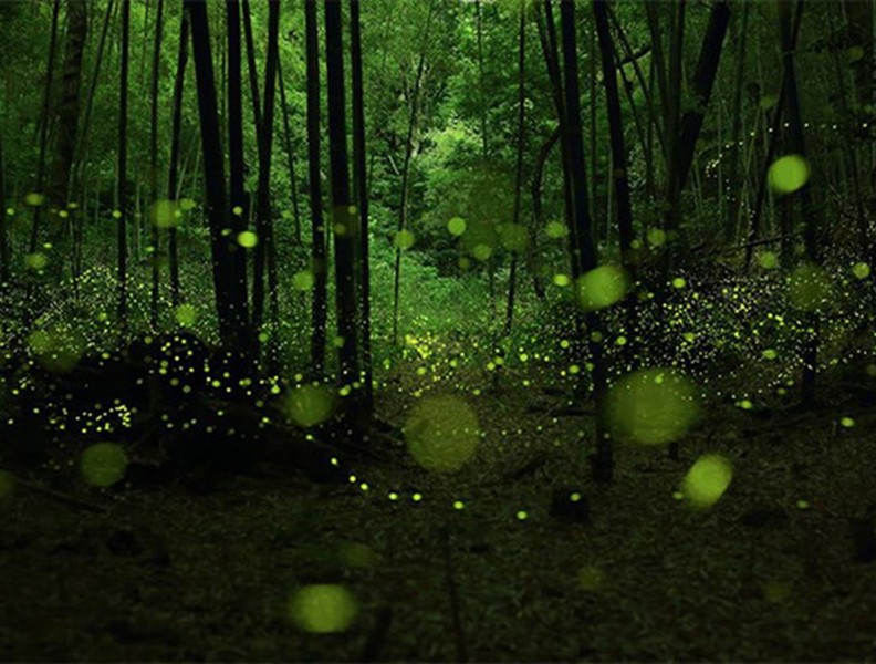 [ẢNH] Những hiện tượng ánh sáng thiên nhiên kỳ diệu đến khó tin