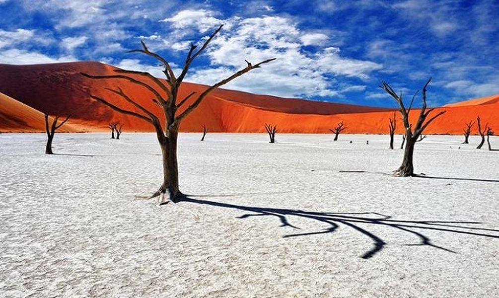 Cảnh sắc siêu thực tại nghĩa địa cây khô “Deadvlei” hơn 900 năm giữa lòng sa mạc 