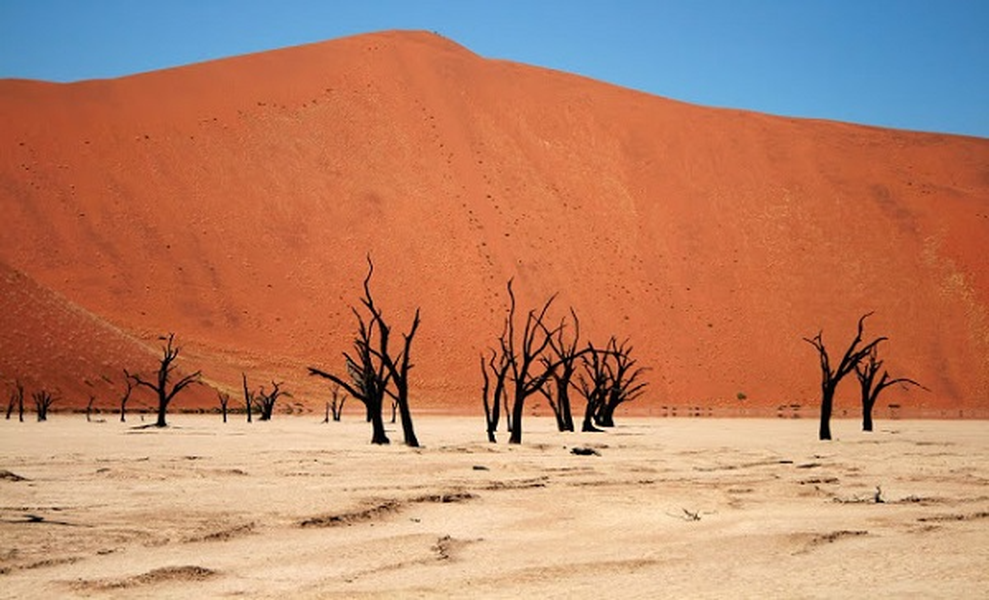 Cảnh sắc siêu thực tại nghĩa địa cây khô “Deadvlei” hơn 900 năm giữa lòng sa mạc 