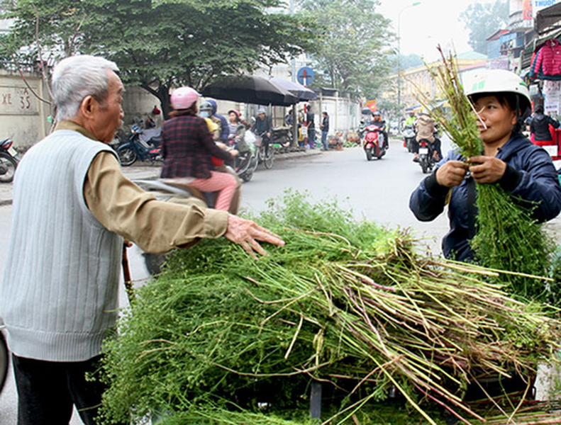 Lá mùi già: Hương sắc khó quên của Hà Nội ngày 30 Tết