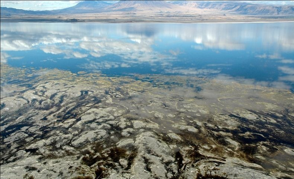 Bí ẩn về hồ nước tử thần khiến mọi sinh vật rơi xuống sẽ bị hóa đá