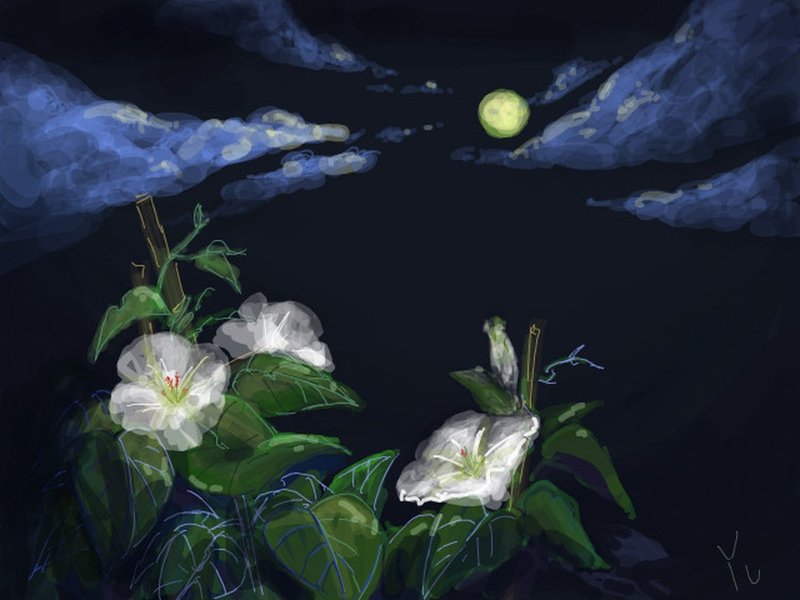 Loài hoa chỉ bung nở khi có ánh trăng và phát ra ánh sáng huyền diệu 