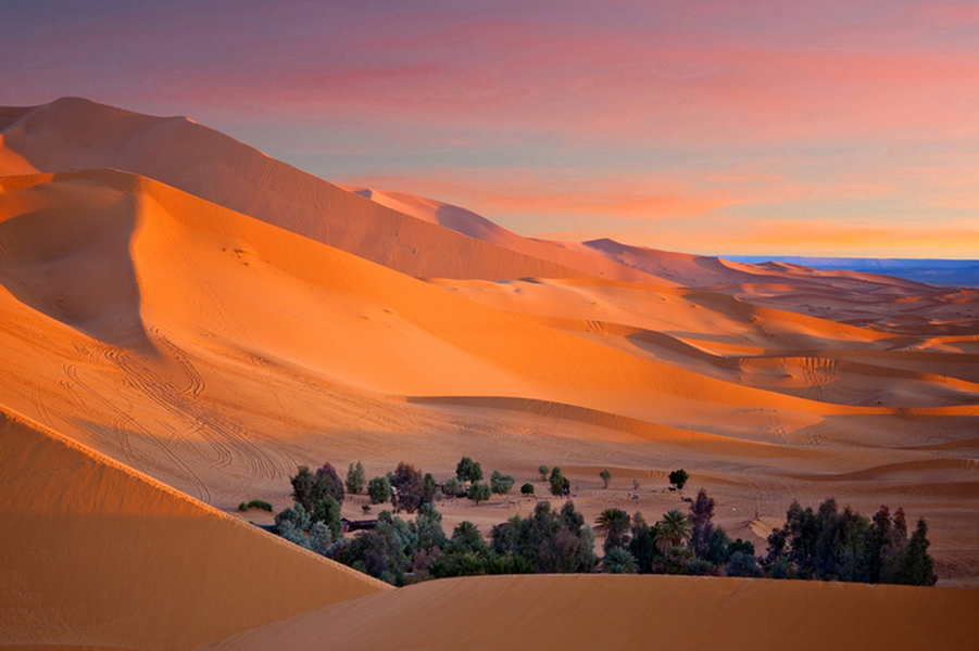 Những bí mật ẩn giấu trong sa mạc lớn nhất thế giới