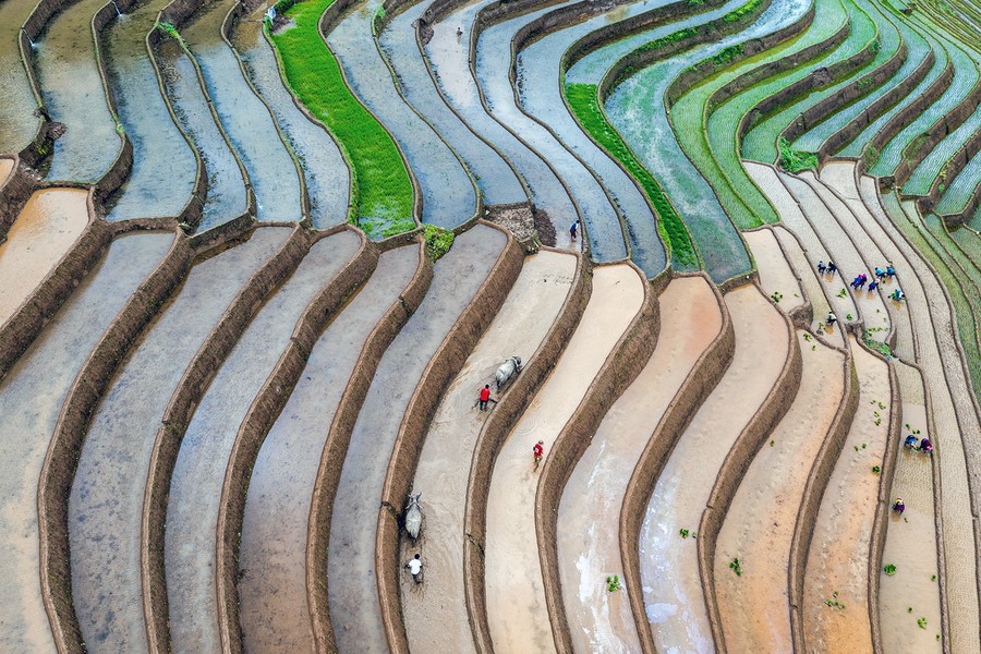 Đất nước Việt Nam tươi đẹp qua những bức ảnh của nghệ sĩ nhiếp ảnh Vũ Hải