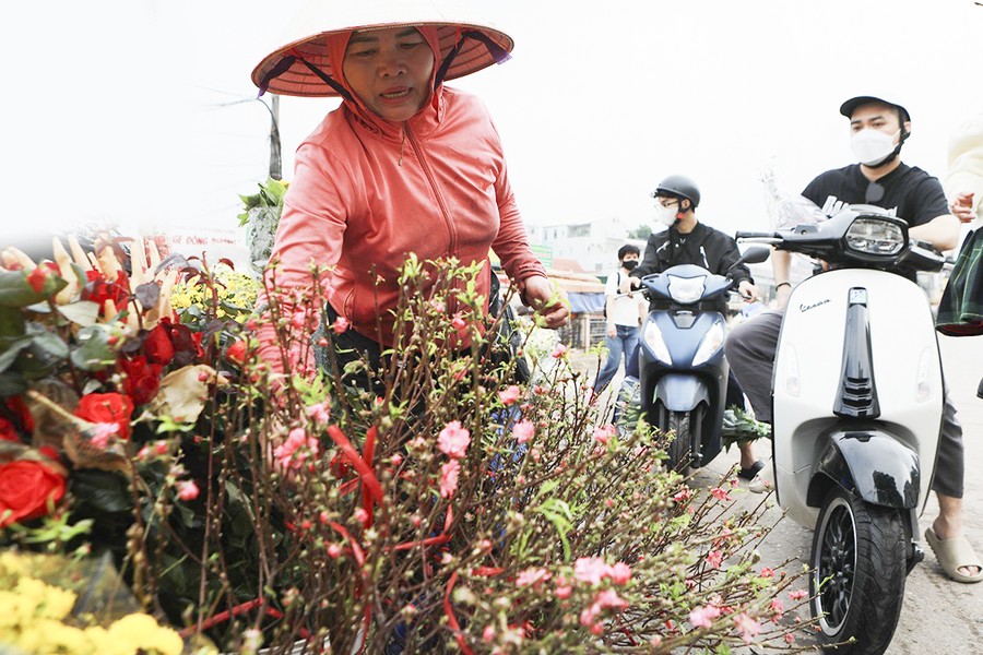 Hoa đào Nhật Tân xuống phố khoe sắc, đón Tết sớm