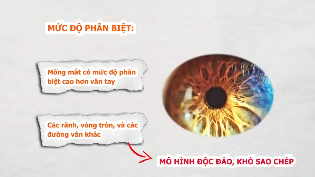Mống mắt con người có gì đặc biệt? 