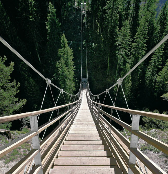 Cầu thang giữa thiên nhiên độc đáo nhất trên thế giới