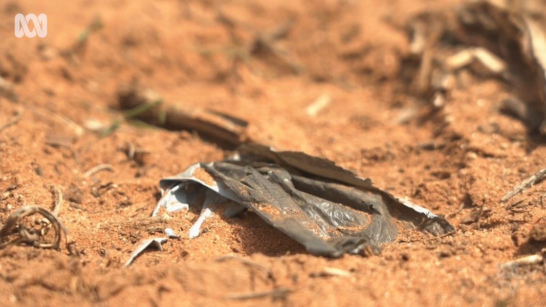 Australia: Bạt nhựa sinh học đầu tiên có thể tự phân hủy 