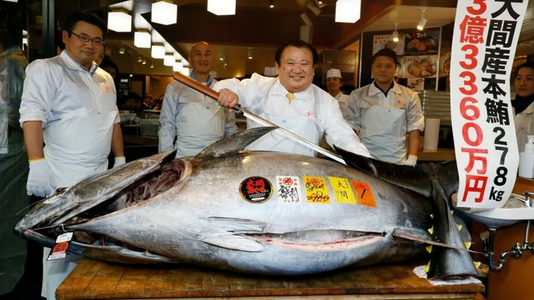 Cá ngừ khổng lồ có mức giá kỷ lục 72 tỷ đồng 