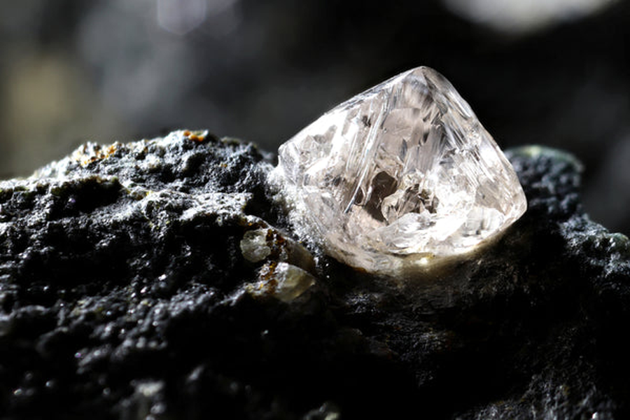 Lần đầu tiên kim cương được tạo ra từ hoa mẫu đơn 