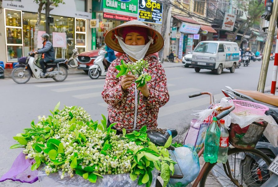 Hương bưởi tháng 3 