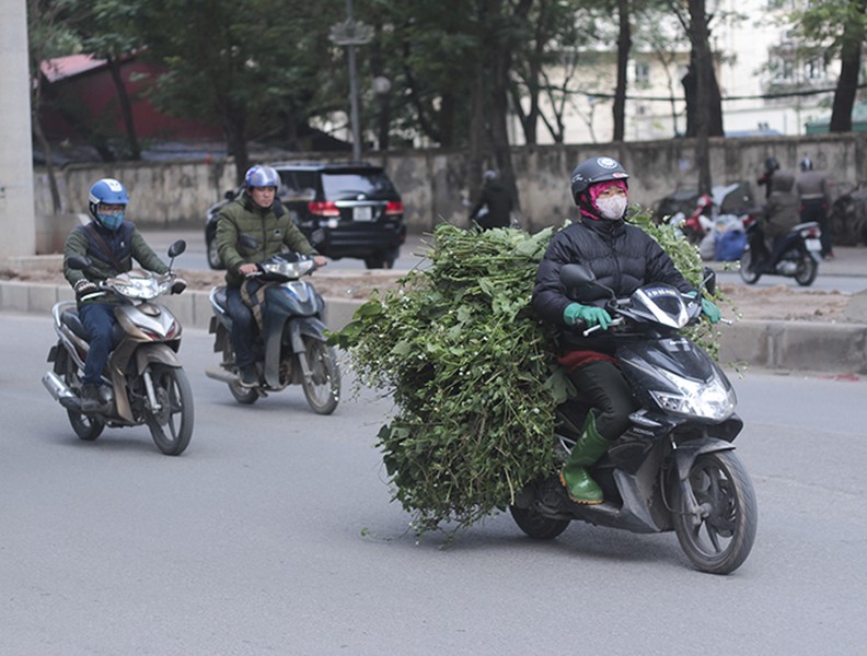 [ẢNH] Người dân Hà Nội co ro trong cái rét đậm nhất mùa