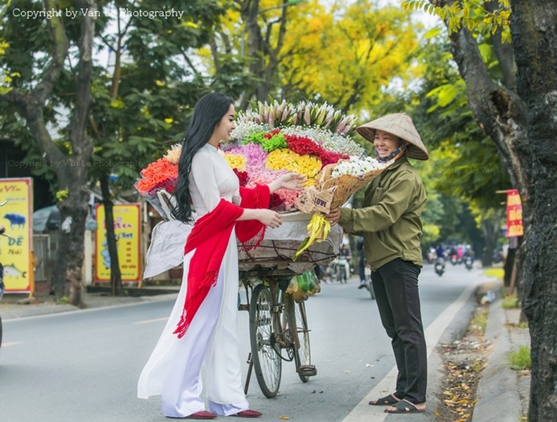 Nao nao ngắm những tán cơm nguội vàng ruộm một góc trời Hà Nội