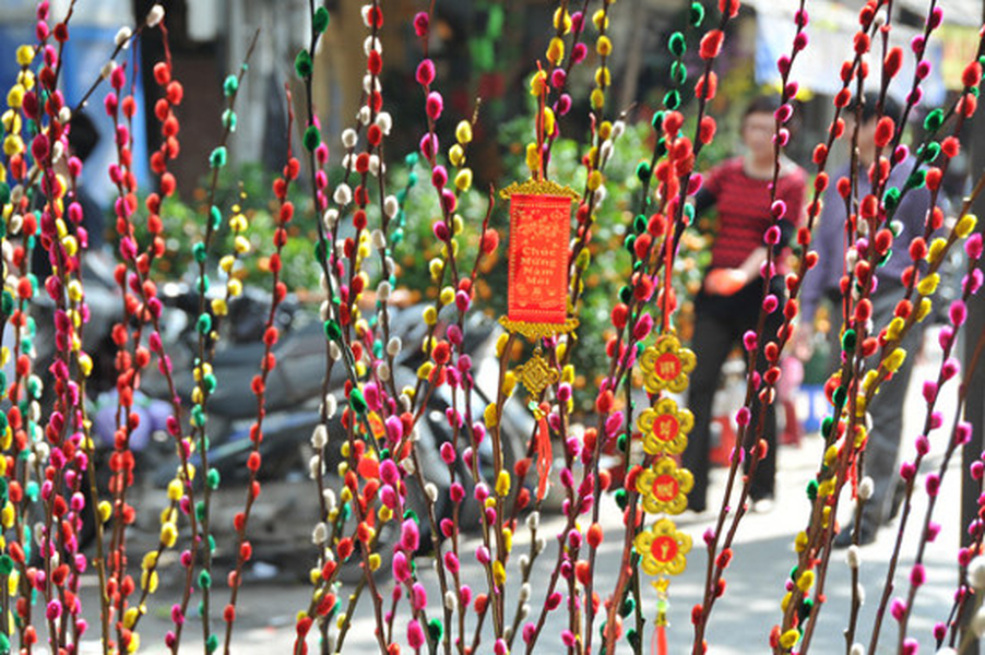 Những loài hoa mang ý nghĩa và tiêu biểu của mùa xuân 