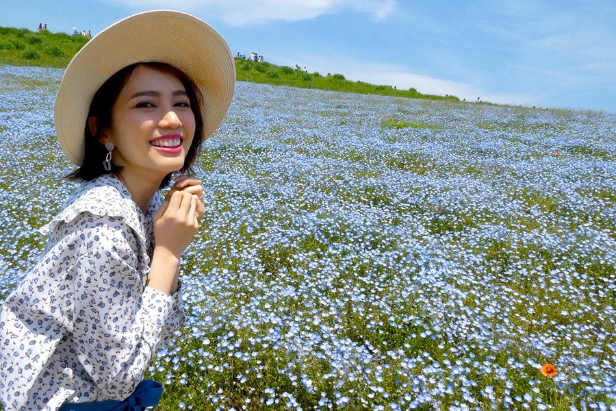 [ẢNH] ‘Lạc’ trong thiên đường hoa nở quanh năm tại Nhật Bản